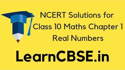 NCERT Solutions for Class 10 Maths Chapter 1 Real Numbers Ex 1.4 Q 1 ii and iii
