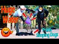 Water Balloon vs Sleeping Dogs Prank Very Funny - Try Not To Laugh Prank Dogs Challenge 2021