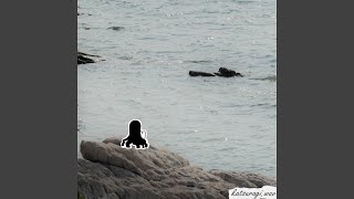 first sight - katsuragi.wav
