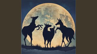 Burung Dalam Sangkar