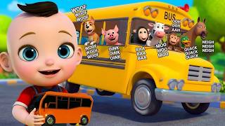 wheels bus old macdonald johny johny yes papa more sing