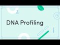 Decoding DNA Profiles and the Science Behind Genetic Markers