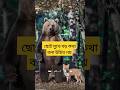 যত বড় মুখ নয় তত বড় কথা উচিত নয়#youtubeshorts #trendingshorts #storytelling #shorts #motivation
