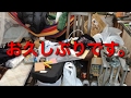 小屋暮らし開拓記11:仮設小屋と電気の報告