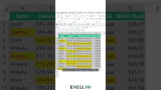 Excel - Bul ve Değiştir Özelliğinde Biçimler - EXCEL 751 #excel751 #excel