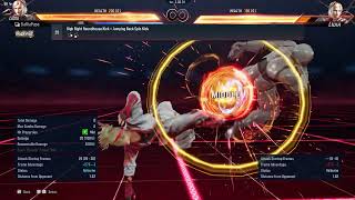 025. High Right Roundhouse Kick ▶ Jumping Back Spin Kick