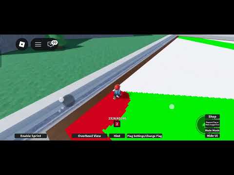 Roblox [paint flags] 