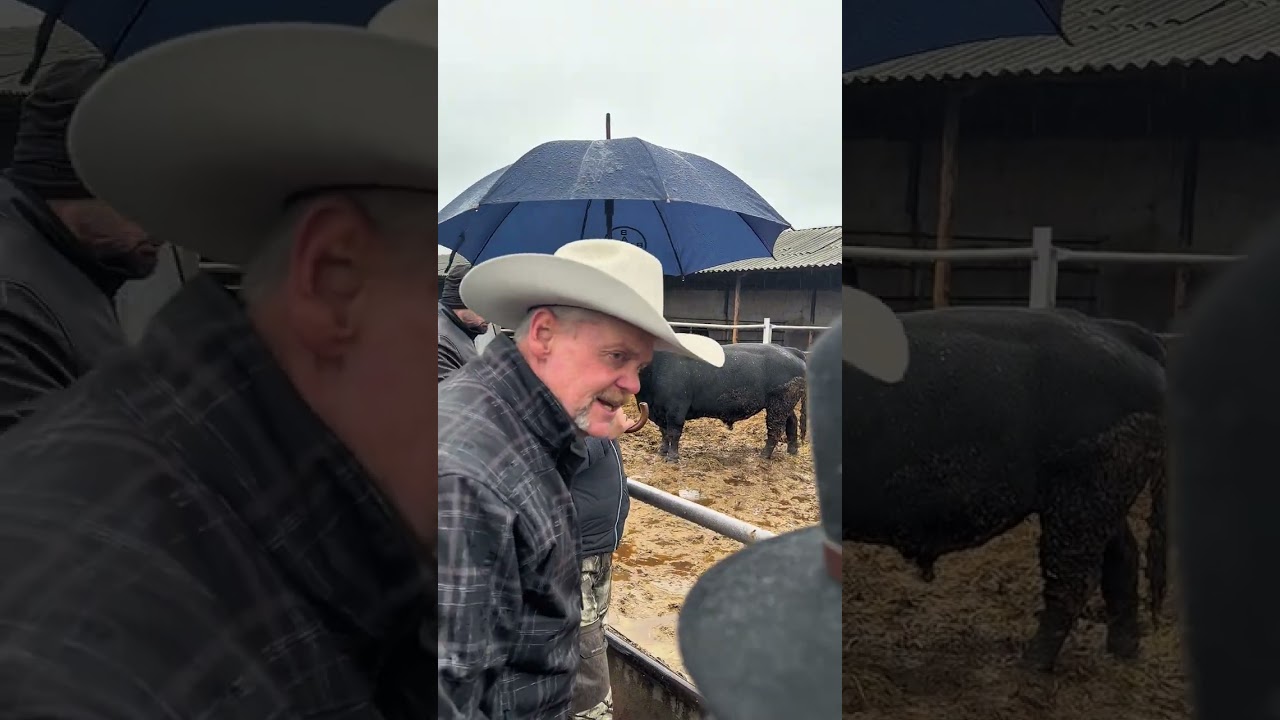 Хайде с нас във Фамилно стопанство 