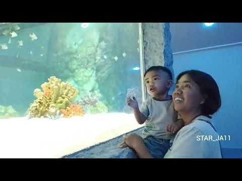 Candon City Aquarium Park