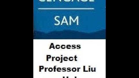 SAM 43 Access Exam Project, Midwest Executive Professionals