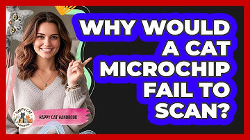 Why Would A Cat Microchip Fail To Scan? - Happy Cat Handbook