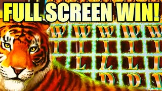 ★BIG WIN!★ FULL SCREEN WILDS! RARE TOP SCREEN HIT! 🐯 GOLDEN JUNGLE GRAND Slot Machine (IGT)
