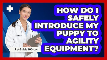 How Do I Safely Introduce My Puppy To Agility Equipment? - PetGuide360.com