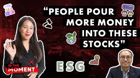 ESG investing: what is it, exactly? | In The Moment: Episode 28