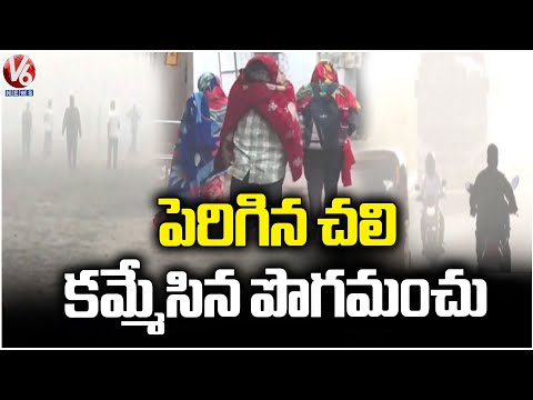 IMD Issues Cold Wave Alert To Telangana For Next 8 Days | Weather Report | V6 News - V6NEWSTELUGU
