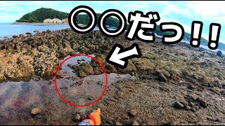 #1 潮が引いた海の水溜りにありえない生物が・・・