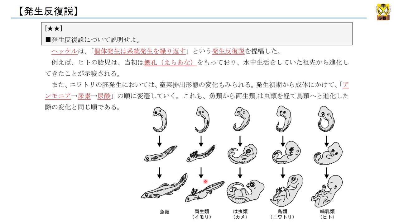 hanpukusetsu Meaning In Japanese - Mazii