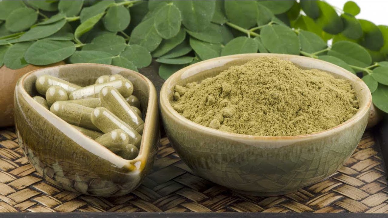 beneficios de la moringa en pastillas Moringa árbol de la vida de las faldas del Himalaya!
