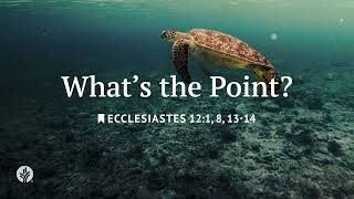 What's the Point? | Our Daily Bread | Daily Devotional What's the Point? | Our Daily Bread | Daily Devotional