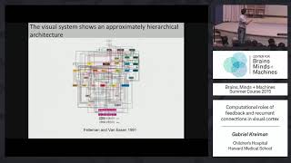 Lecture 1.2: Gabriel Kreiman - Computational Roles of Neural Feedback
