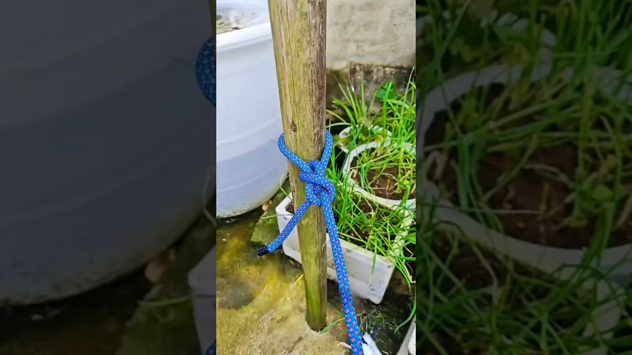 Нужно ли затягивать или ослаблять? Этот узел подходит и для того, и для другого. 