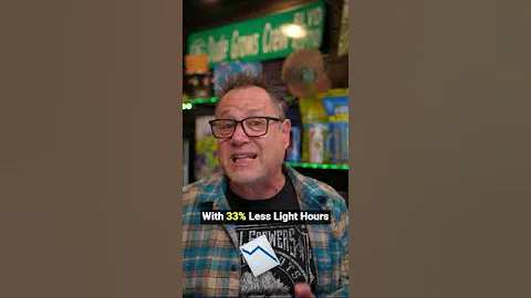 Don't Flip Your Lights to Flower Until You Know This!✅️