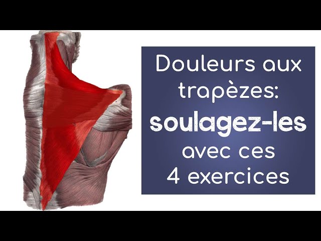 Douleurs au haut du dos et aux trapèzes: 4 exercices efficaces ...