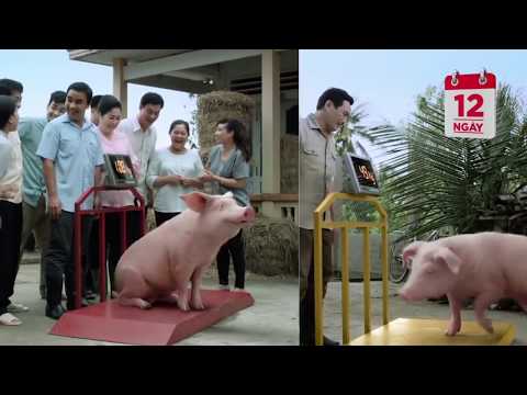 Video QUẢNG CÁO CÁM BIOZEEM SUPER II Đề kháng mạnh, xuất... - youtube