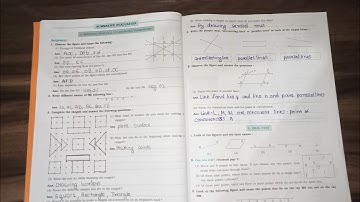 class 6 maths chapter 1 basic concepts in geometry workbook full Solution @yogitasingh_42130 #viral