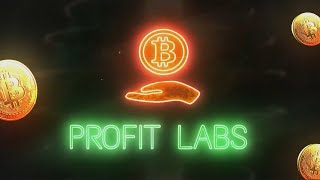 Profit Labs Introduction