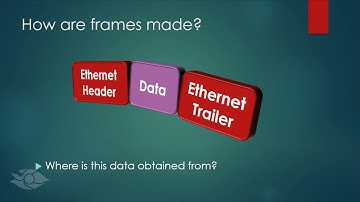 The Ethernet Frame