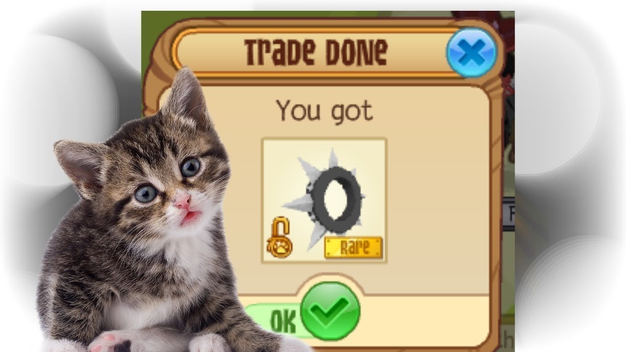 scamming a BLACK LONG COLLAR