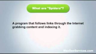 What is On Site SEO