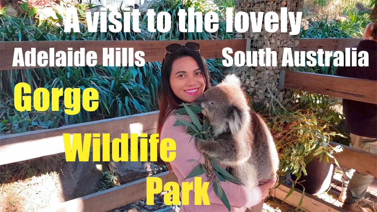 GORGE WILDLIFE PARK ADELAIDE HILLS