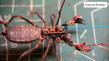 Man turns DEAD Animals into Another level ROBOTS | Cyborgs in Real Life