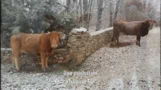 Montejo de la Sierra 24 horas en una reserva de la biosfera Tropical TV