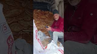 Salı pazarı torba torba bayat ekmek .!!! Baba oğuldan