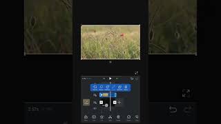 Fake Timelapse - Vn Editor tutorial 👆#shorts