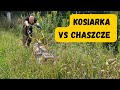 Kosiarka akumulatorowa jest mocniejsza niż myślisz!