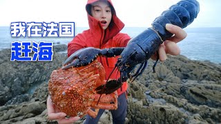 在法国赶海，悬崖下捕到龙虾和蜘蛛蟹，青口生蚝却没人捡 | 海鲜 | 法国 | 趕海 | 螃蟹 | 龙虾 | 生蚝