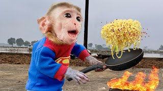 Cute baby Animal doing funny things | Dada Monkey go shopping Cosy Cake and Rescue Bin Bon duck