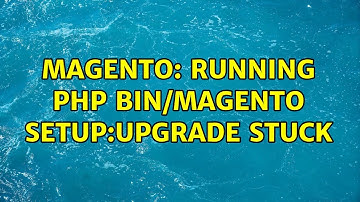 Magento: Running php bin/magento setup:upgrade stuck