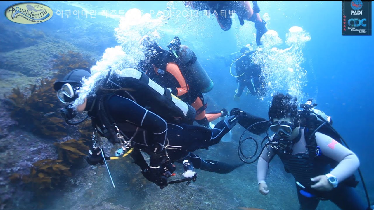 AQUAMARINE Diving Jeju Tour & PADI FESTIVAL 2013 Jeju.Korea YouTube