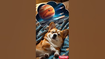 🚀 Corgi on Mars