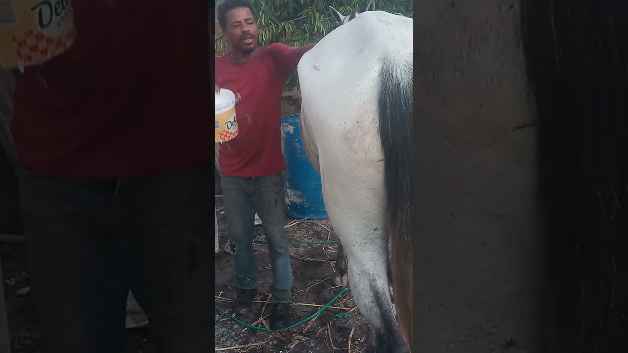 14 de fevereiro de 2026