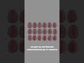Эстетическая гинекология. Акции на интимное омоложение