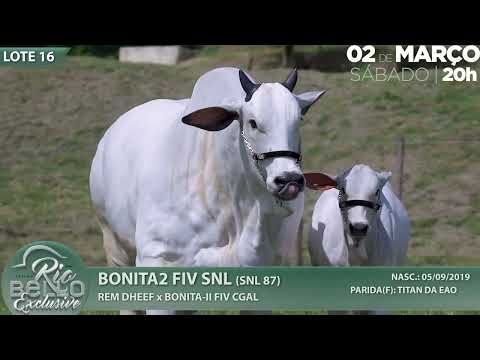 LOTE 16   SNL 87