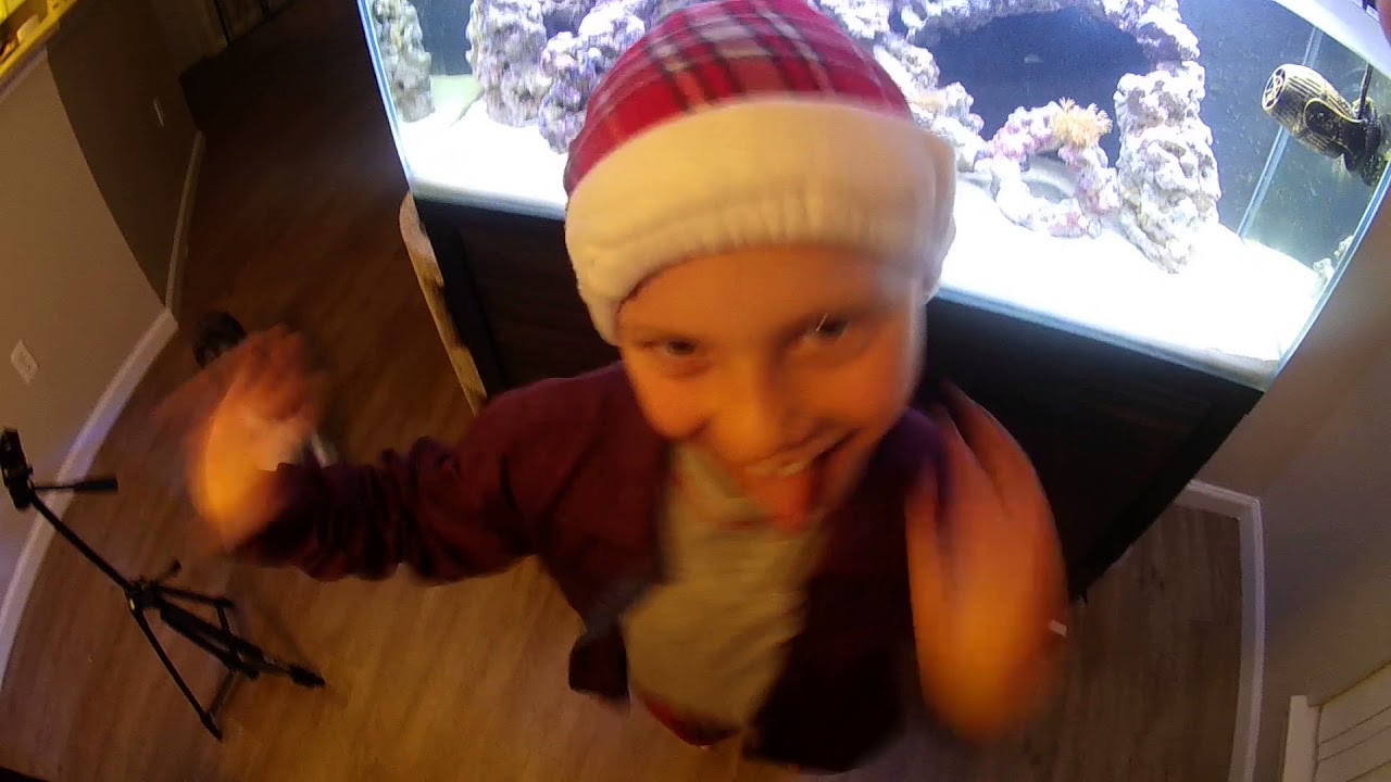 Fluval M90 all in one reef setup review