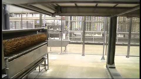 Kornfeil - Automated deck oven line for small products with loading for hand made products