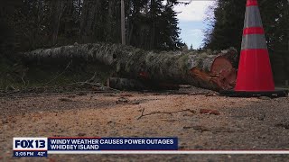 Windy weather causes power outages on Whidbey Island | FOX 13 Seattle